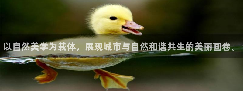 摩根娱乐宝是合法吗