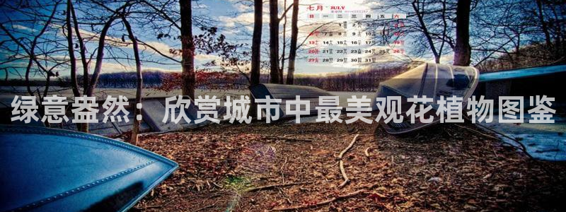 摩根娱乐包是什么