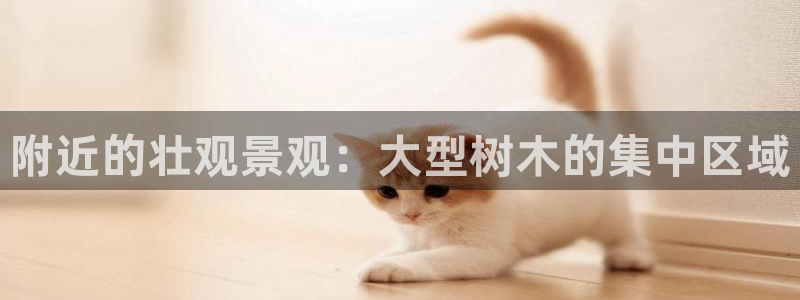 摩根娱乐是真的呀