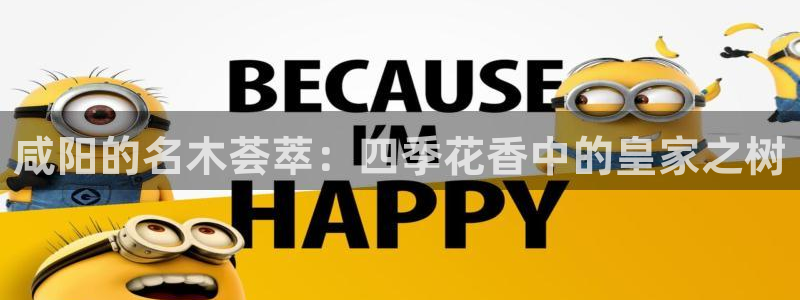 泉州摩根会娱乐场所