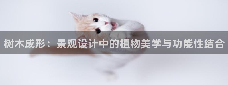 义乌摩根娱乐会所邮箱