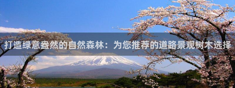 临平摩根娱乐会所