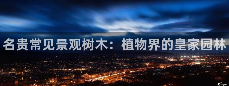 摩根娱乐宝是合法吗