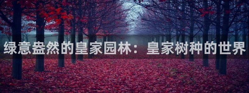 泉州摩根娱乐会所电话多少