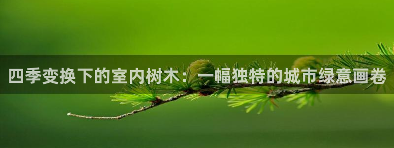 摩根娱乐 总s管50015