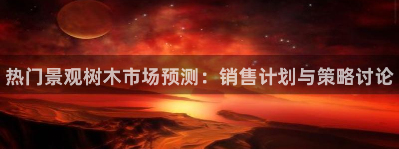 摩根娱乐公会创始人