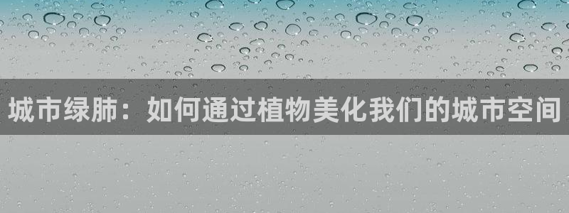 摩根娱乐宝APP下载