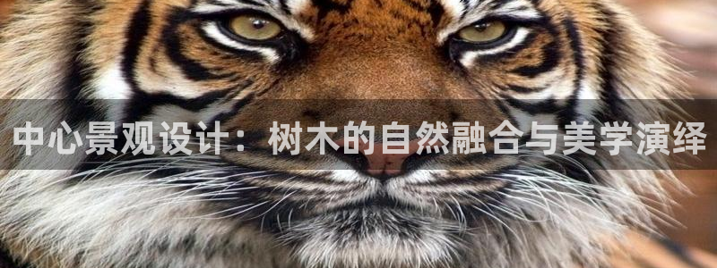 摩根娱乐宝 怎么样