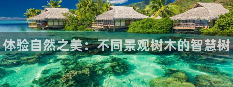 摩根娱乐宝收益怎么样