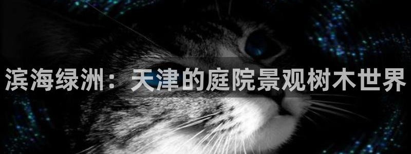 摩根娱乐视频大全