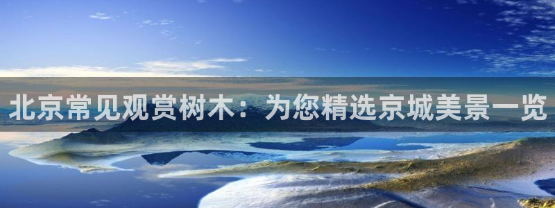济宁摩根国际娱乐