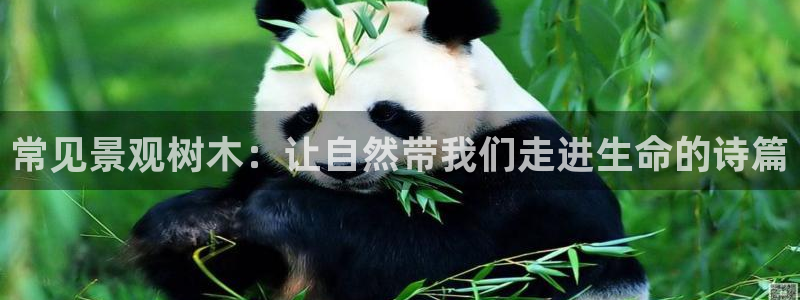 临平摩根娱乐会所怎么样