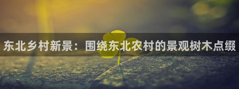 摩根娱乐信益怎么样