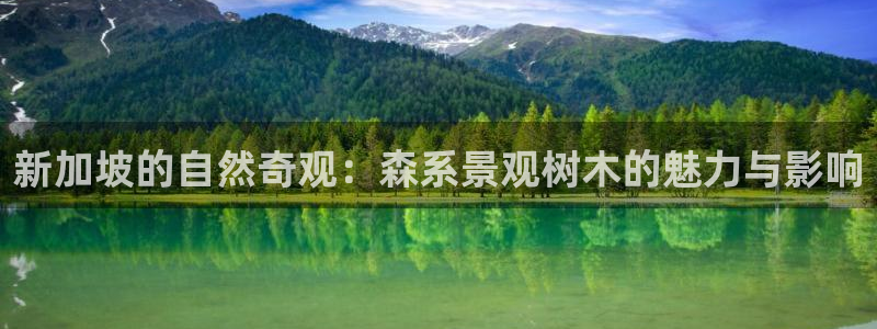 摩根娱乐开户总s管50015 15