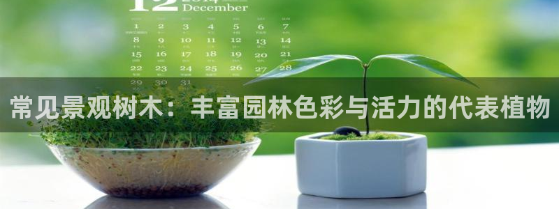 摩根娱乐宝机怎么玩