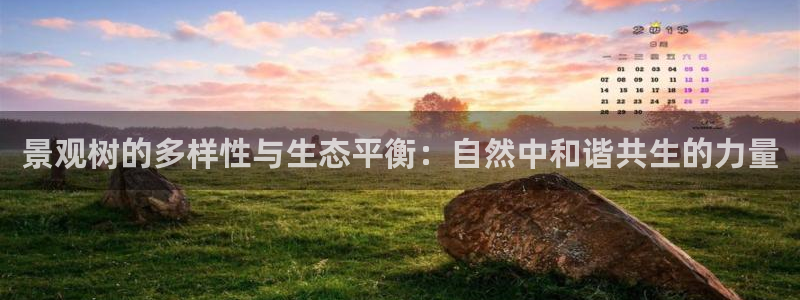 摩根在娱乐圈爆红