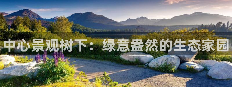 摩根娱乐会所电话