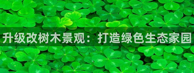 泉州摩根娱乐