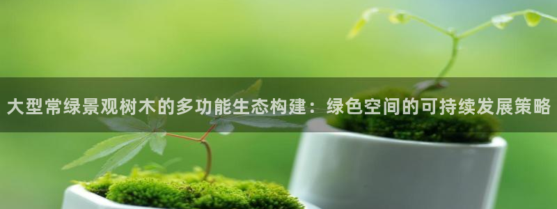 摩根娱乐宝与