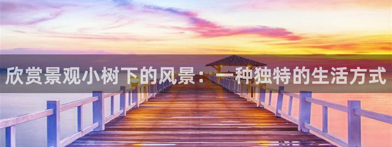 长沙摩根娱乐