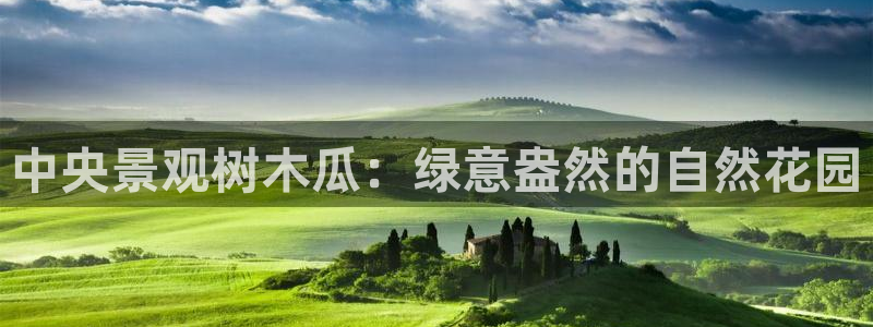泉州摩根娱乐会所地址