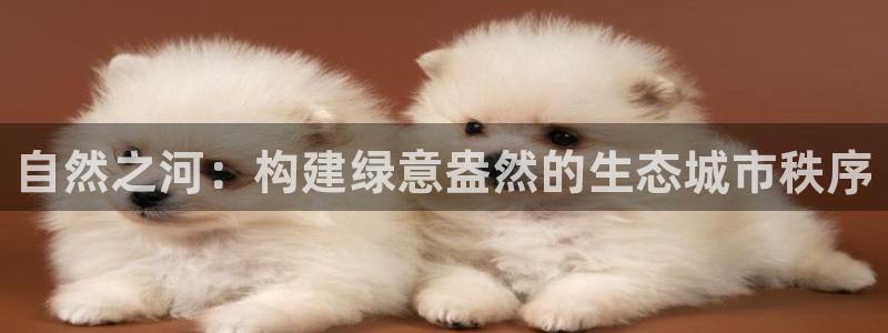义乌摩根娱乐消费多少