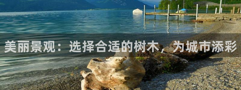 摩根娱乐宝怎么盈利