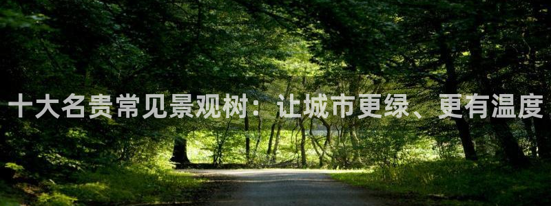 浙江义乌摩根娱乐场所：十大名贵常见景观树：让城市更绿、更有温度