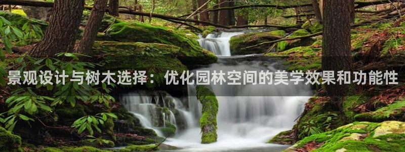 义乌市摩根娱乐会所招聘