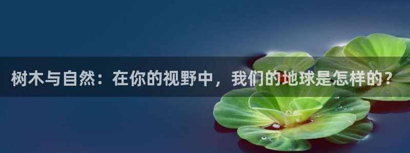 奥飞娱乐摩根调研