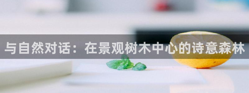 摩根娱乐宝正规吗
