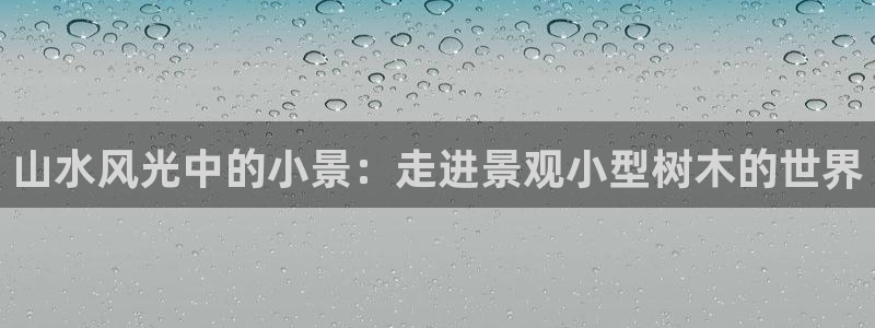 白宫摩根娱乐场所