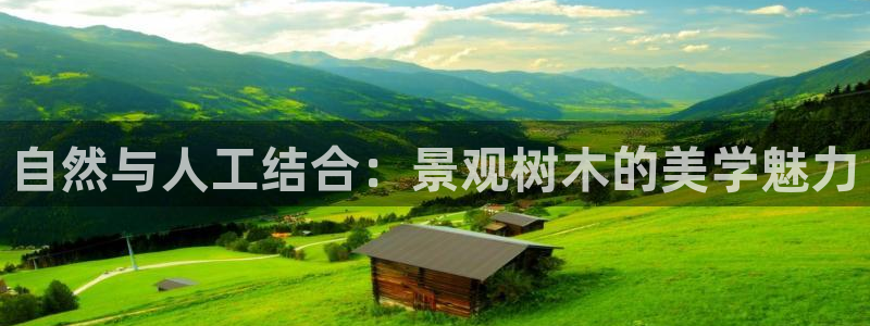 摩根娱乐宝总部招商