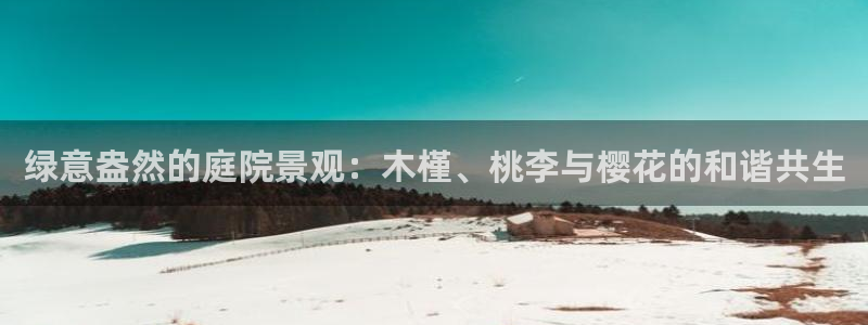 摩根娱乐彩票挂机