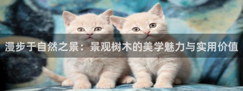 摩根娱乐50186叩杨：漫步于自然之景：景观树木的美学魅力与实用价值