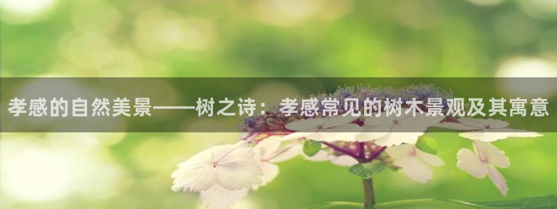 摩根娱乐宝怎么赚钱
