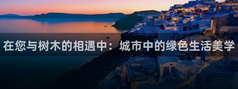 摩根娱乐宝账户