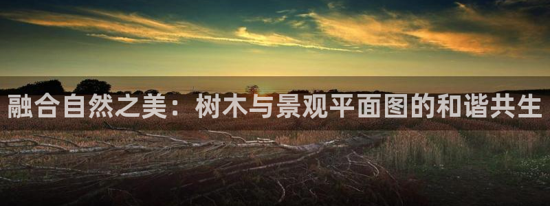 摩根娱乐宝怎么赚钱的