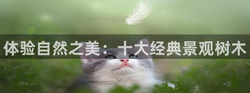 南阳市摩根娱乐