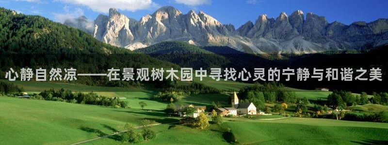 摩根娱乐是什么模式