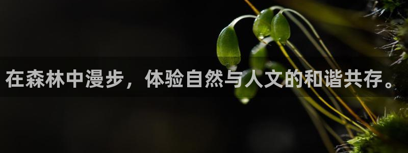 摩根娱乐会所招少爷么