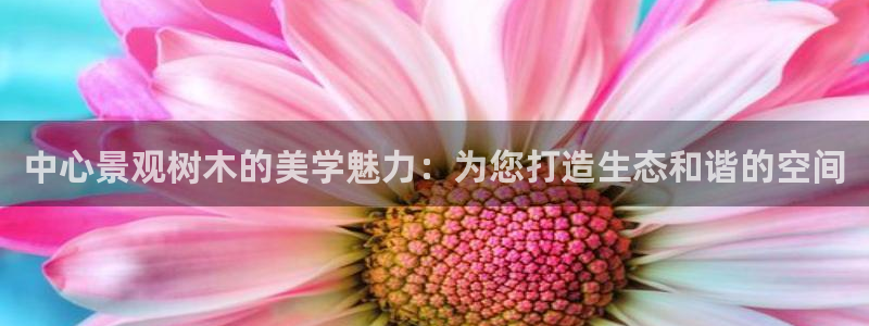 摩根转型娱乐的视频