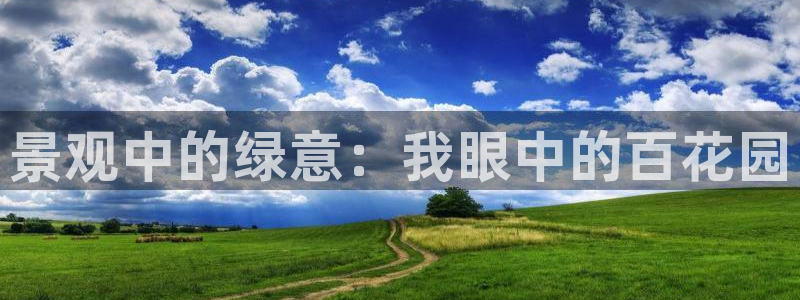 华视娱乐 摩根 王琛