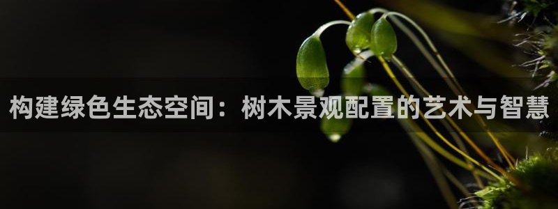 摩根娱乐宝APP下载