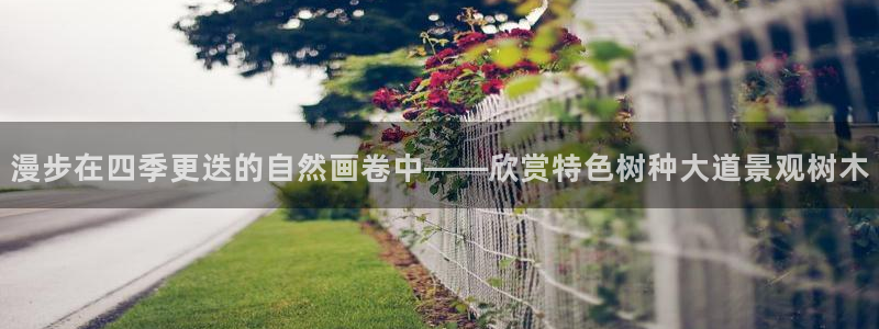 浙江义乌摩根娱乐场所