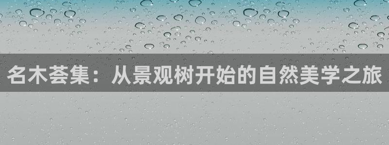 临平摩根娱乐会所