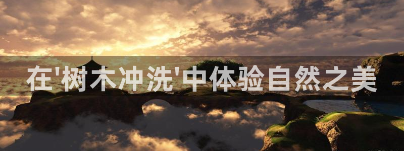 摩根大通黄金娱乐目标价