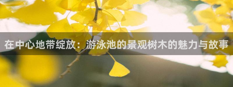 摩根大通投资娱乐公司