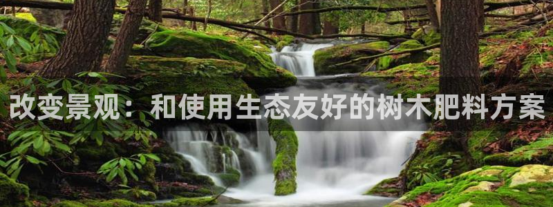 摩根娱乐彩票挂机