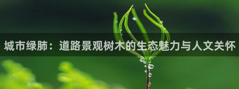 摩根娱乐是什么模式